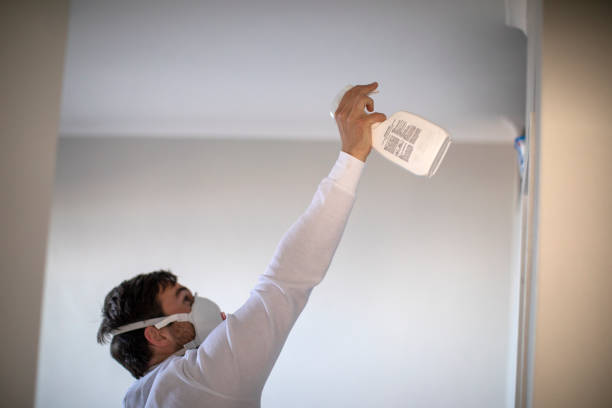 Best White Mold Remediation in Lawrenceville, GA