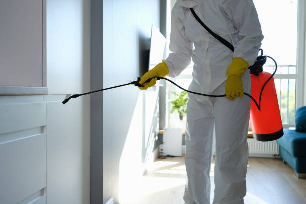 Best Industrial Mold Remediation in Lawrenceville, GA