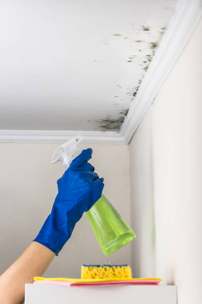 Best Residential Mold Remediation in Lawrenceville, GA